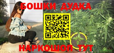 сатива Балахна