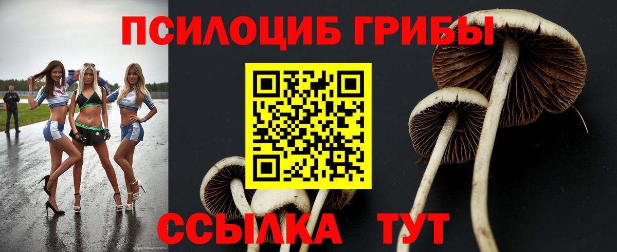 Галлюциногенные грибы Magic Shrooms Елец