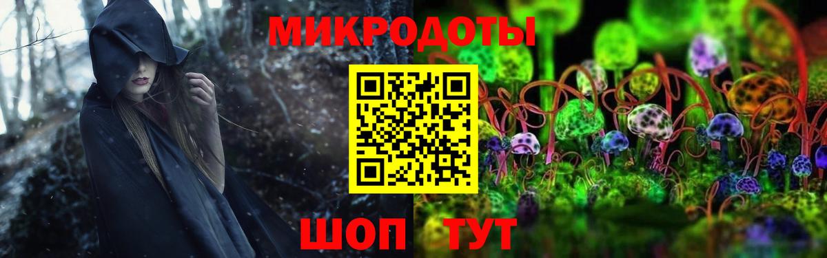 Псилоцибиновые грибы MAGIC MUSHROOMS  Галлюциногенные грибы Psilocybine cubensis  Елец  Вход с VPN 